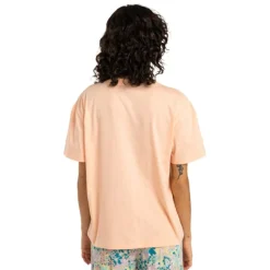 Camisetas manga corta Billabong In The Balance