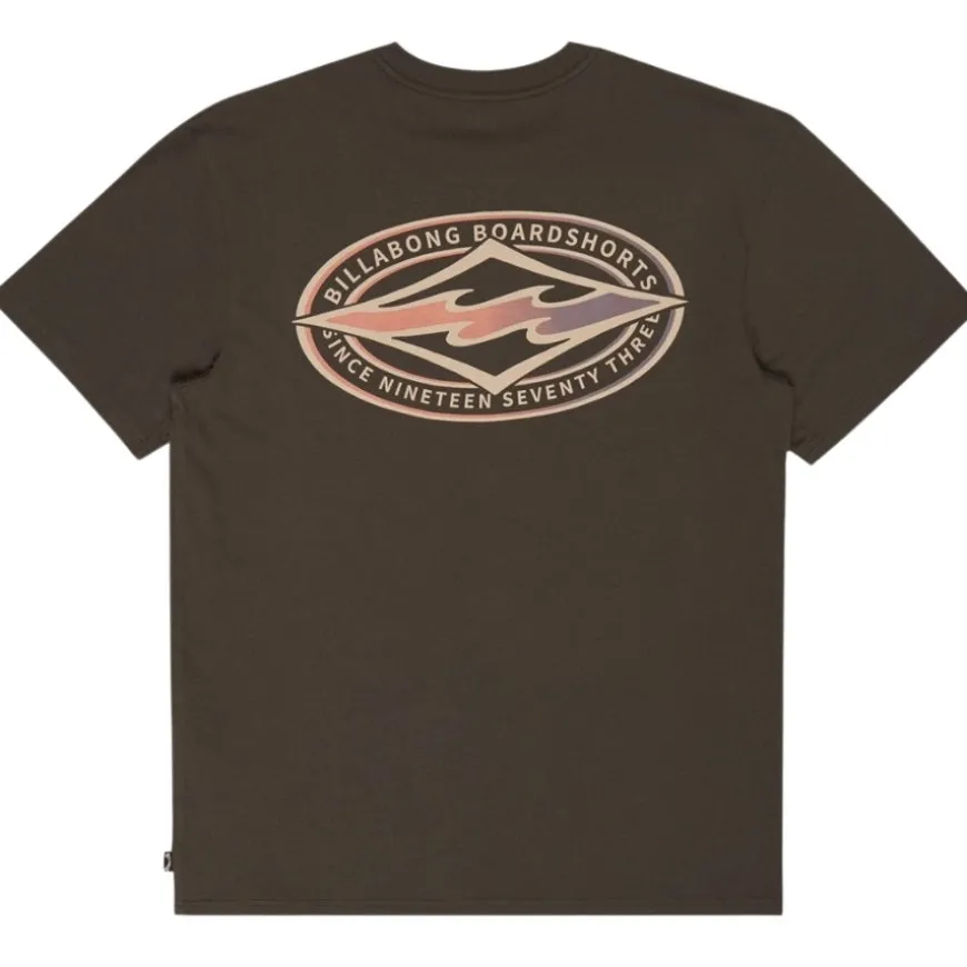 Camisetas manga corta Billabong PromoTee SMU Diamond Vision Ss