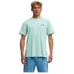 Camisetas manga corta Billabong PromoTee Arch Wave Ss SMU
