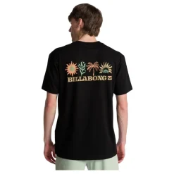 Camisetas manga corta Billabong Segment Ss