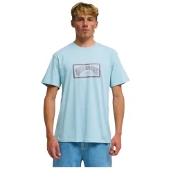 Camisetas manga corta Billabong Arch Frame Ss