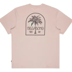 Camisetas manga corta Billabong Portal Premium Ss