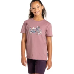 Camisetas manga corta Dare2b TrailblazerIITee