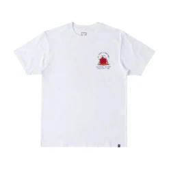Camisetas manga corta Dc shoes Stuck On You M Tees Wbb0