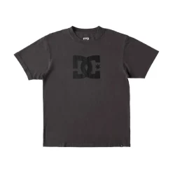 Camisetas manga corta Dc shoes Dcstar Pigment M Tees Kvjw