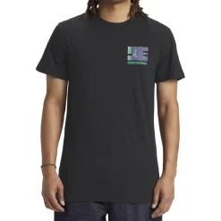 Camisetas manga corta Dc shoes Explorer Tss SMU