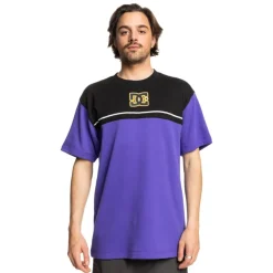 Camisetas manga corta Dc shoes Stripe Stone Ss
