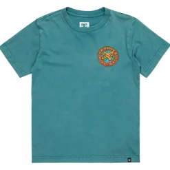 Camisetas manga corta Dc shoes Spinner Hss