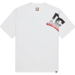 Camisetas manga corta Dc shoes Solid Lefty Hss