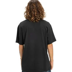 Camisetas manga corta Dc shoes Dc Star Filled Hss