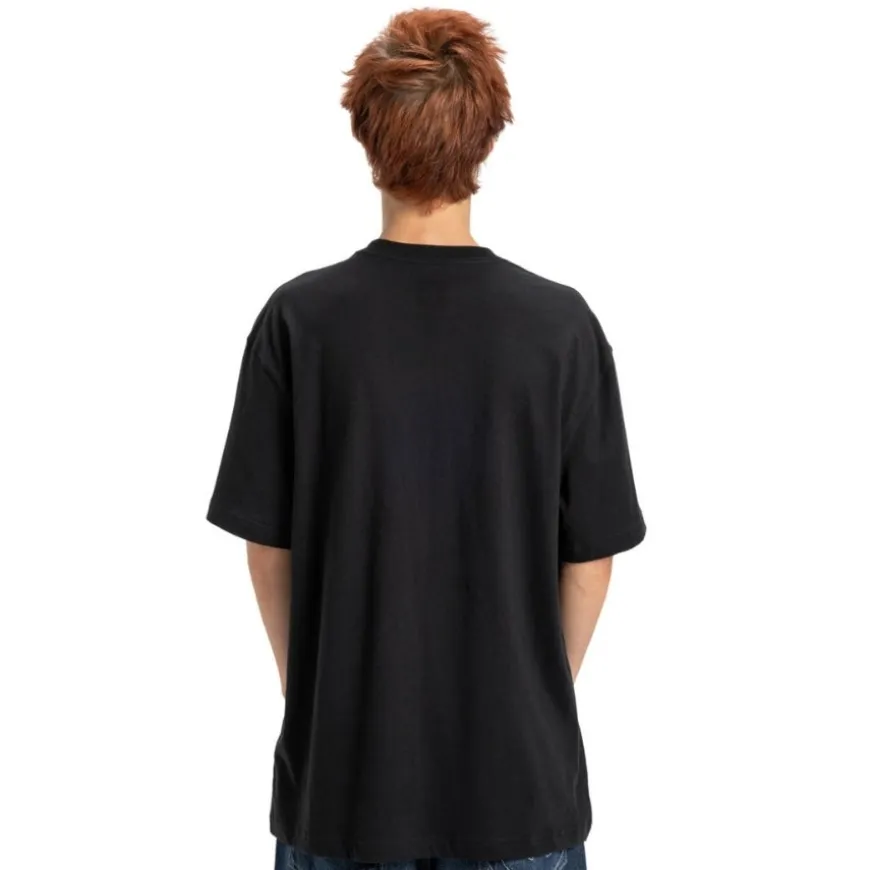 Camisetas manga corta Dc shoes Substitute Hss
