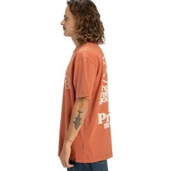 Camisetas manga corta Dc shoes High Rollin Hss
