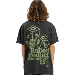 Camisetas manga corta Dc shoes High Rollin Hss