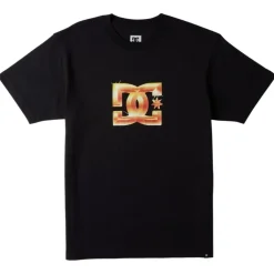 Camisetas manga corta Dc shoes Dc Star Chrome Bevel Hss