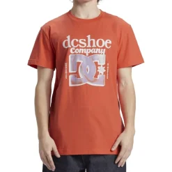 Camisetas manga corta Dc shoes Overspray Tss SMU