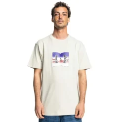 Camisetas manga corta Dc shoes 94 Elevate Hss