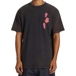 Camisetas manga corta Dc shoes Open Wide Hss