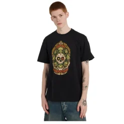 Camisetas manga corta Element Timber The Frog Ss