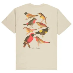 Camisetas manga corta Element Fortune Ss