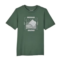 Camisetas manga corta Fox Yth Shepherds Prem Ss Tee