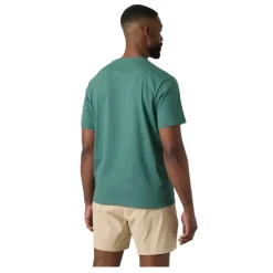 Camisetas manga corta Helly hansen Hh Box T 2.0