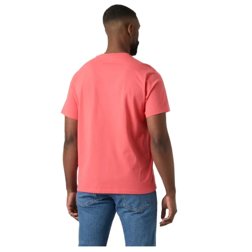 Camisetas manga corta Helly hansen Hh Box T 2.0