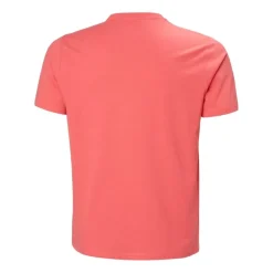Camisetas manga corta Helly hansen Hh Box T 2.0