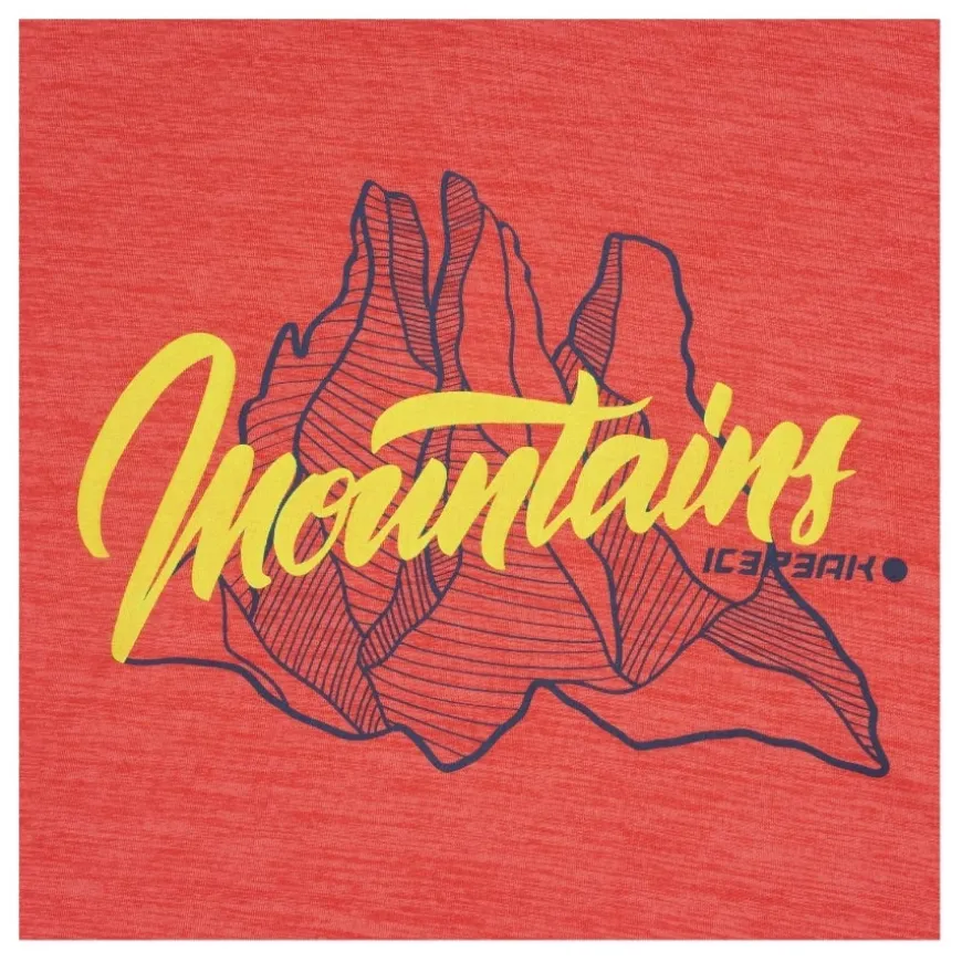 Camisetas manga corta Ice peak Devine