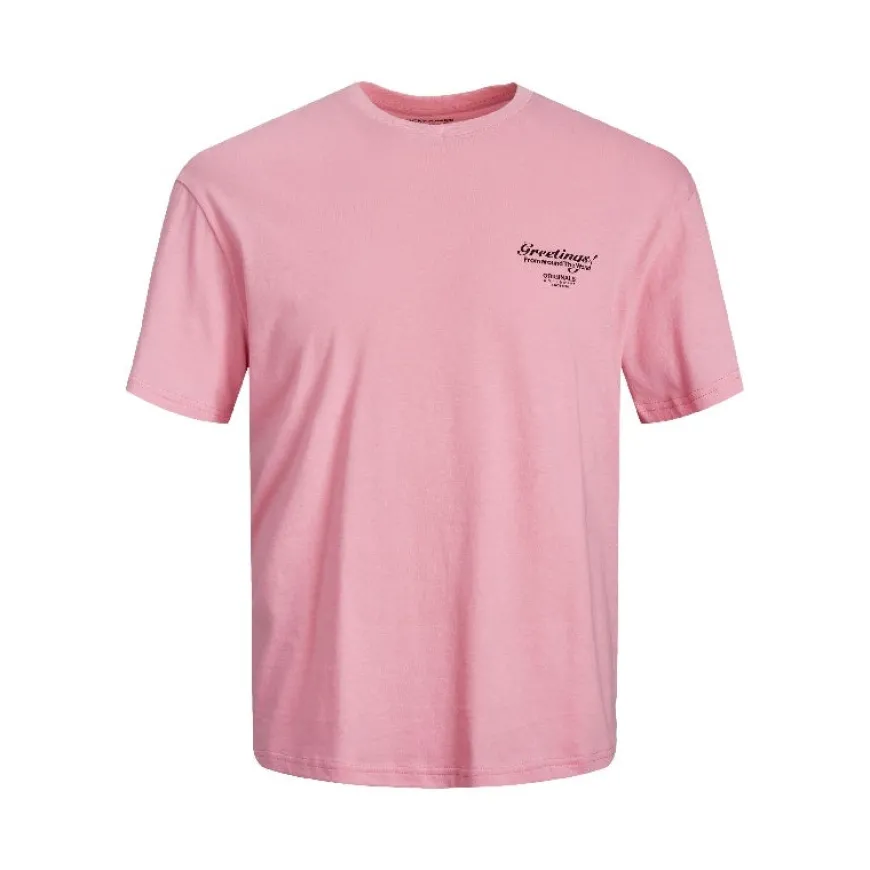 Camisetas manga corta Jack & jones Jorgreetings Tee Ss Crew Neck Tg