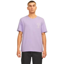 Camisetas manga corta Jack & jones Jjcarter Tee Ss Crew Neck