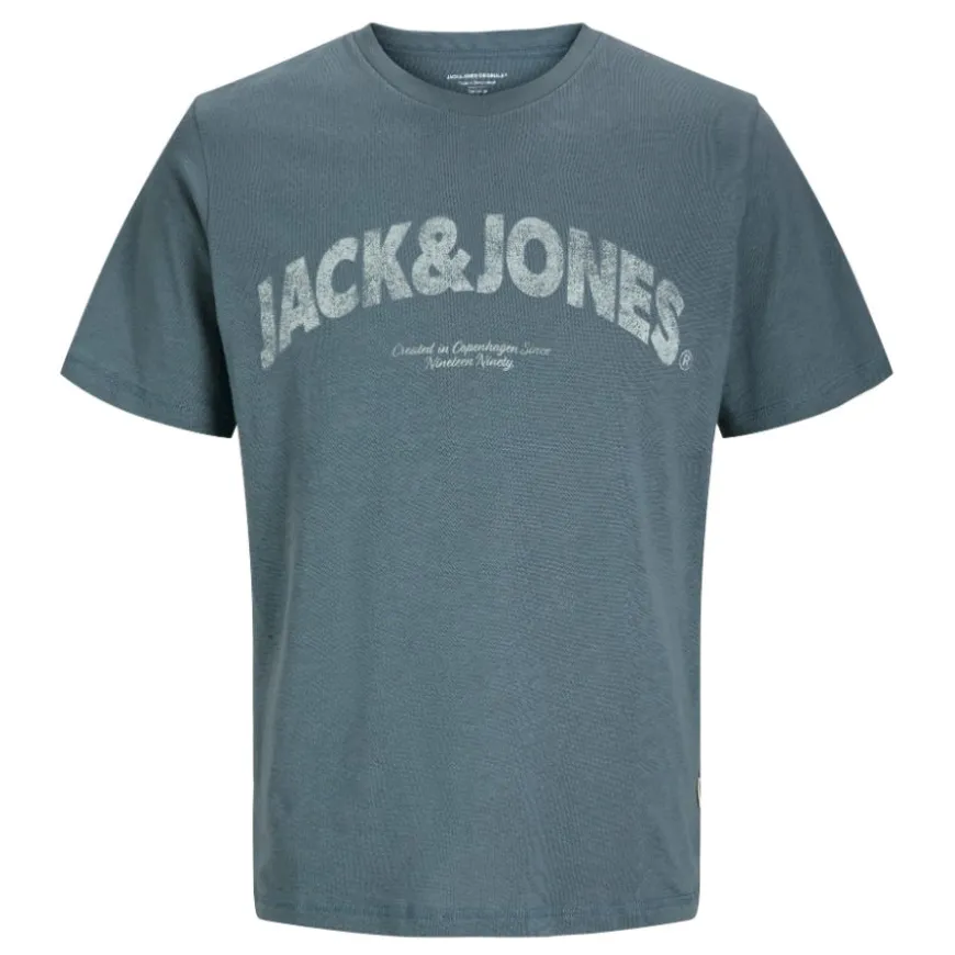 Camisetas manga corta Jack & jones Joralmeria Bold Branding Tee Ss Cn Jnr