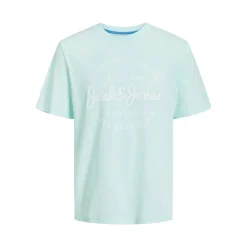 Camisetas manga corta Jack & jones Jjforest Tee Ss Crew Neck
