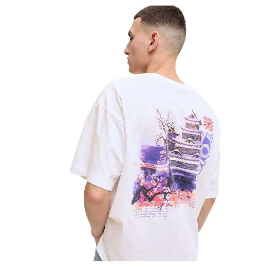 Camisetas manga corta Jack & jones Jorwise Tee Ss Crew Neck Tg