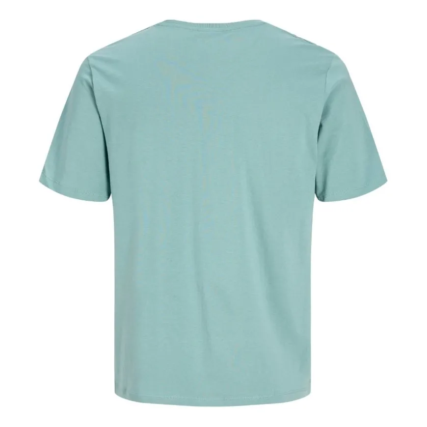 Camisetas manga corta Jack & jones Jjepaulos Tee Ss Crew Neck Noos