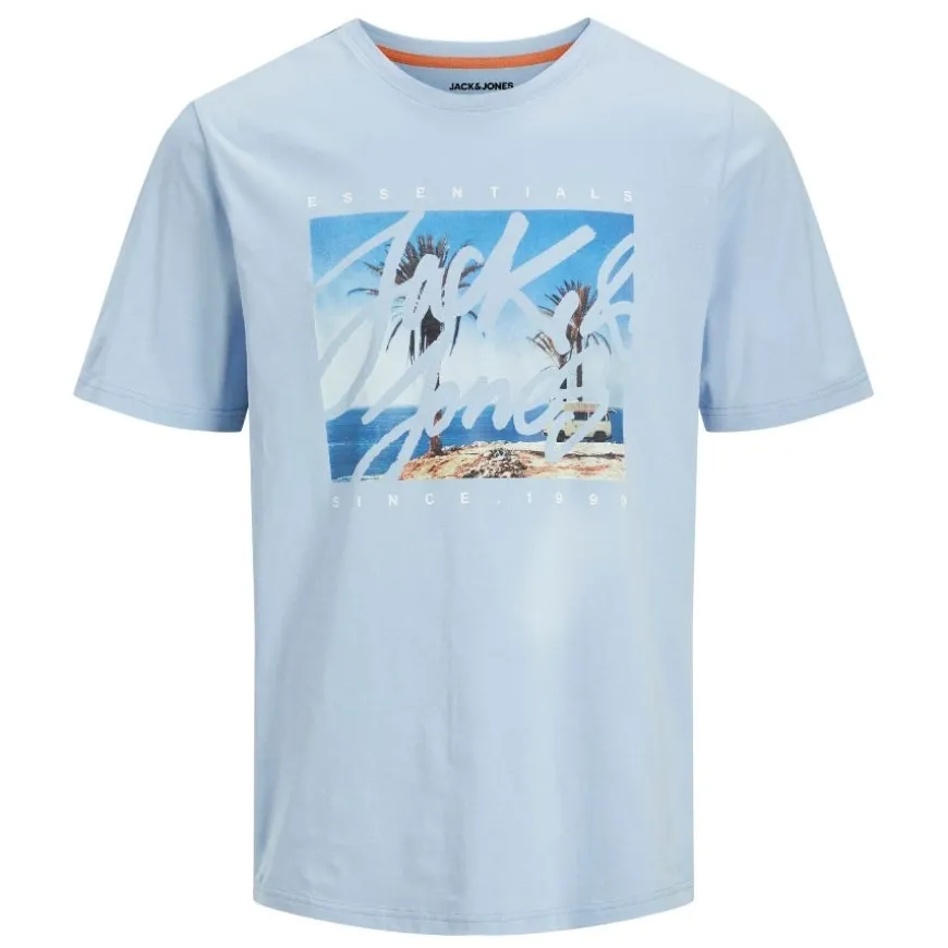 Camisetas manga corta Jack & jones Jjcolton Photoprint Tee Ss Crew Ne Jnr