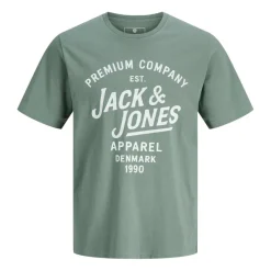 Camisetas manga corta Jack & jones Jprbluzane Ss Tee Fst