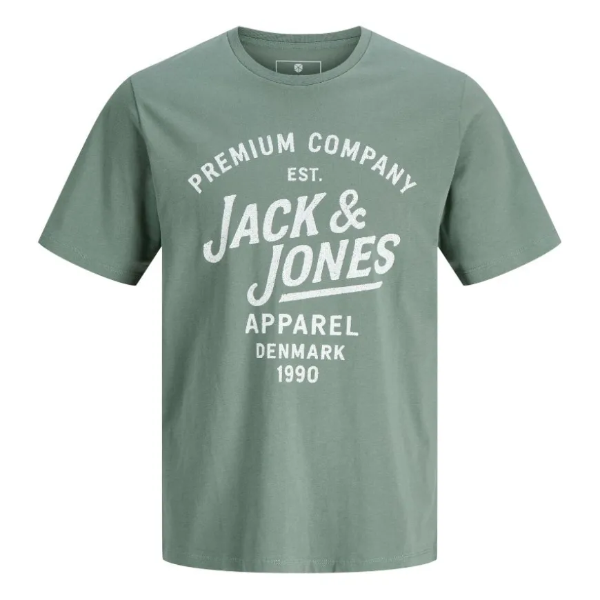 Camisetas manga corta Jack & jones Jprbluzane Ss Tee Fst
