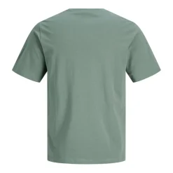 Camisetas manga corta Jack & jones Jprbluzane Ss Tee Fst