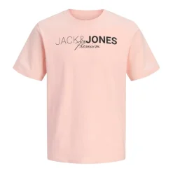 Camisetas manga corta Jack & jones Jprblaneo Ss Tee Fst