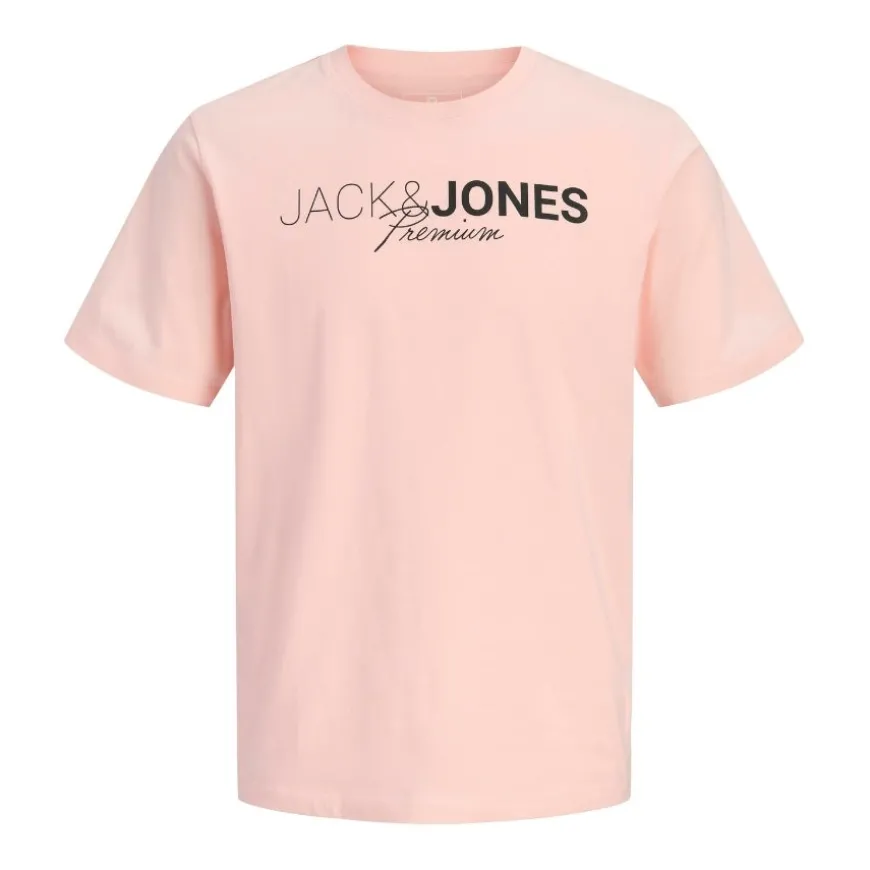 Camisetas manga corta Jack & jones Jprblaneo Ss Tee Fst