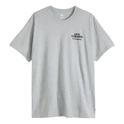 Camisetas manga corta Levis Ss Relaxed Fit Tee Archival Ov