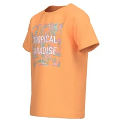 Camisetas manga corta Name-it Nkfjasmine Ss Top Pb