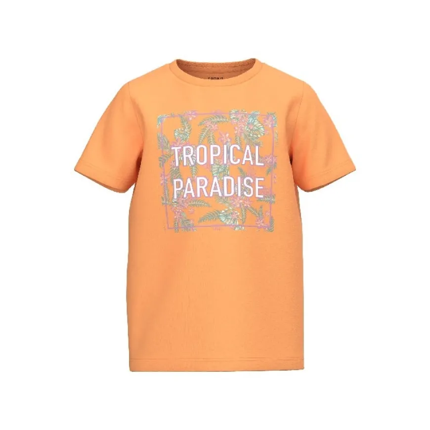 Camisetas manga corta Name-it Nkfjasmine Ss Top Pb