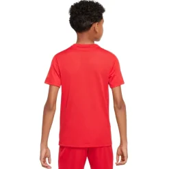 Camisetas manga corta Nike K Nk Df Trphy23 Ss Top Gx