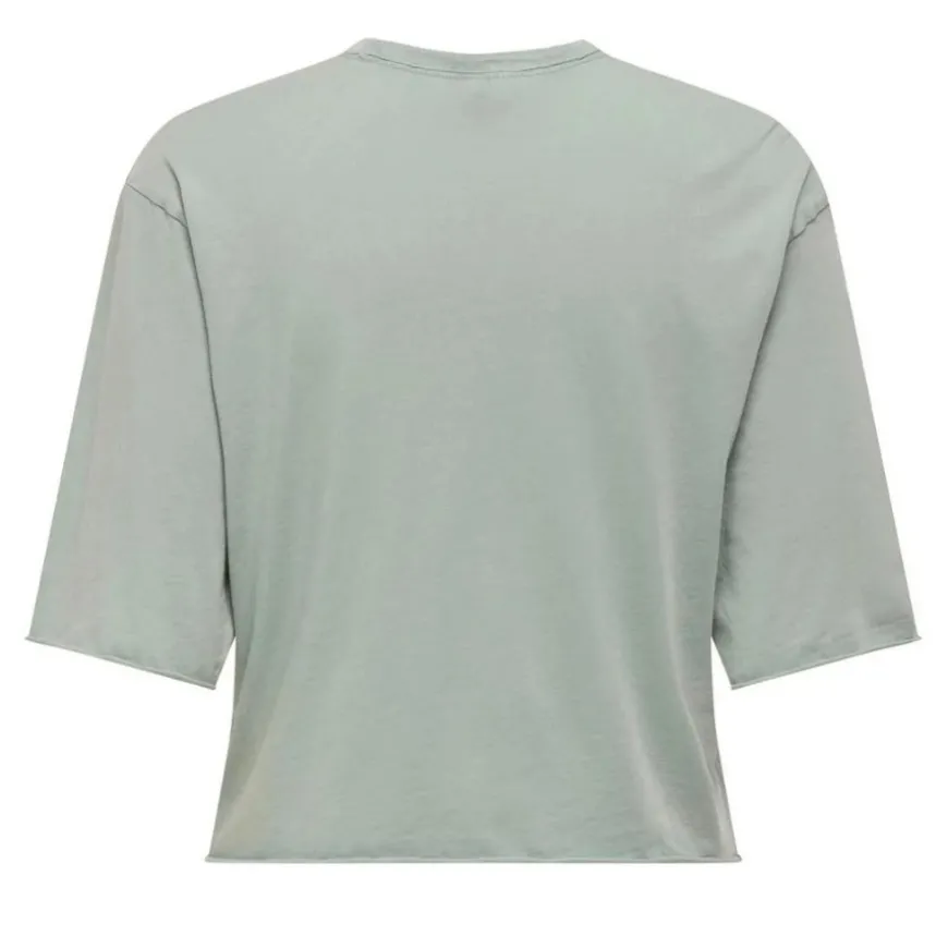 Camisetas manga corta Only Promotees Onllucy Life S S Flowers Top Box Jrs