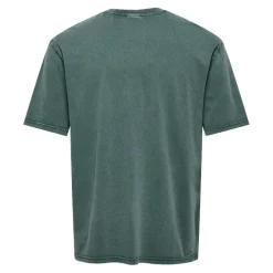 Camisetas manga corta Only & sons Onsfraizer Rlx Ss Washed Tee