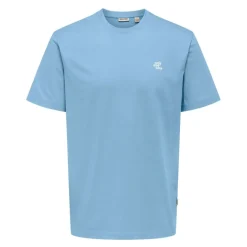 Camisetas manga corta Only & sons Onsmaxim Reg Ss Tee