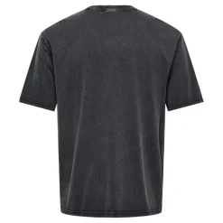 Camisetas manga corta Only & sons Onsfraizer Rlx Ss Washed Tee