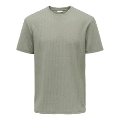 Camisetas manga corta Only & sons Onsfred Life Rlx Ss Stripe Tee Noos