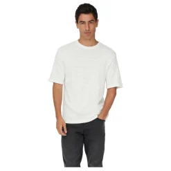 Camisetas manga corta Only & sons Onsgivo Reg 12 Ss Crew Knit Noos